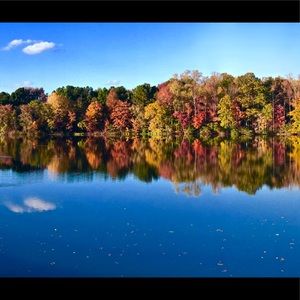 Meet your Posher, Louise